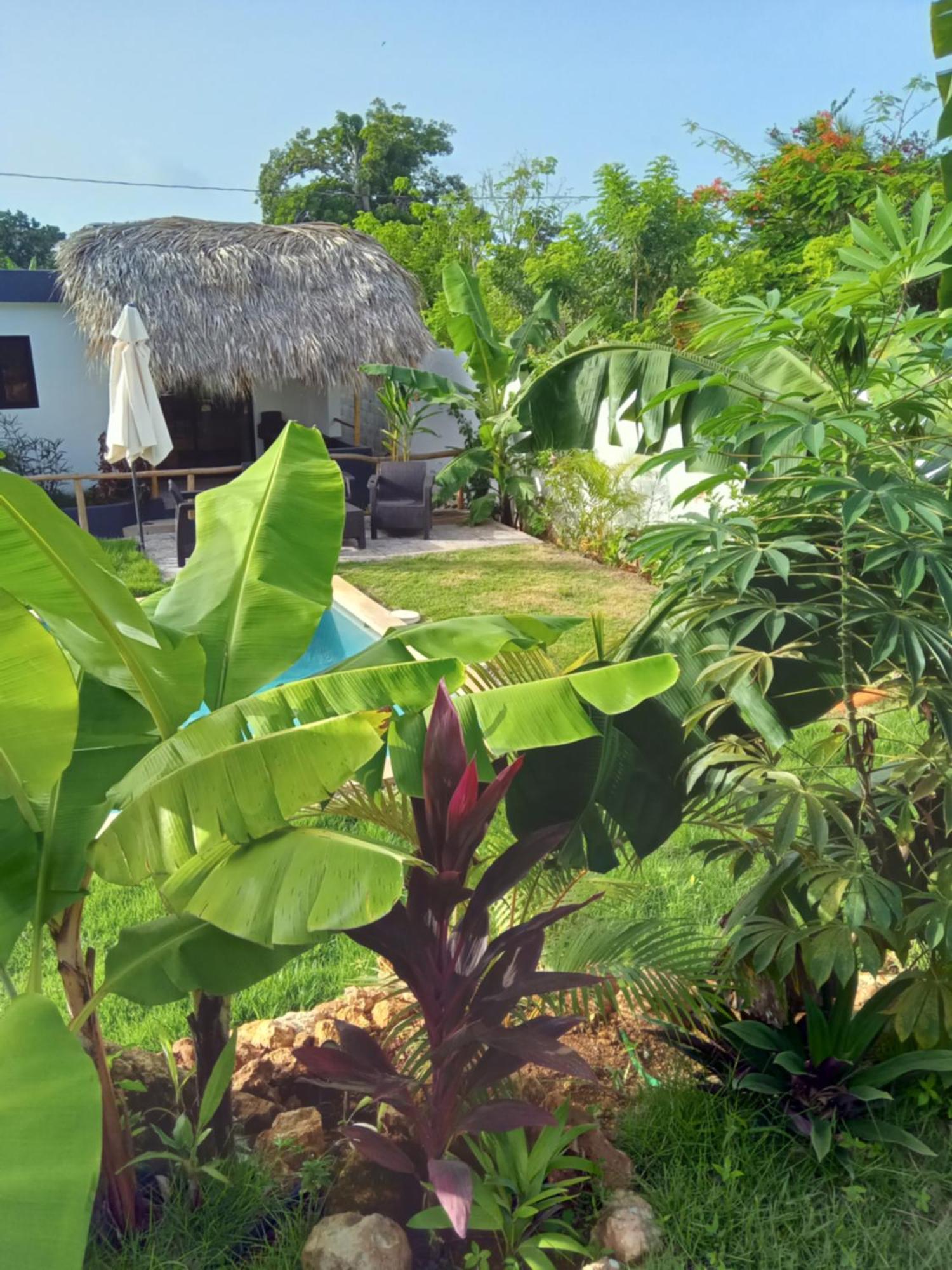 Bungalows Colibri Las Galeras Kültér fotó