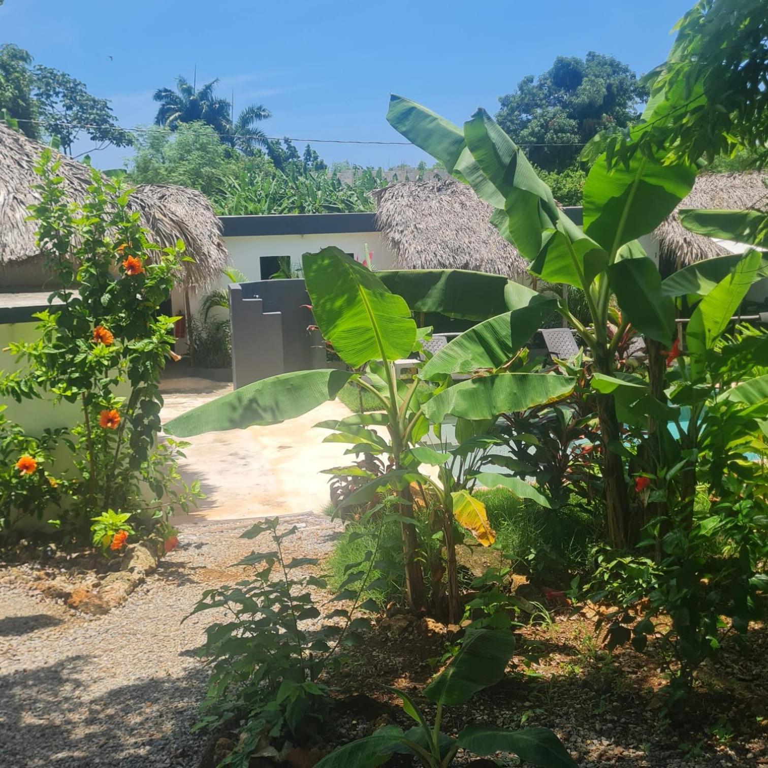 Bungalows Colibri Las Galeras Kültér fotó