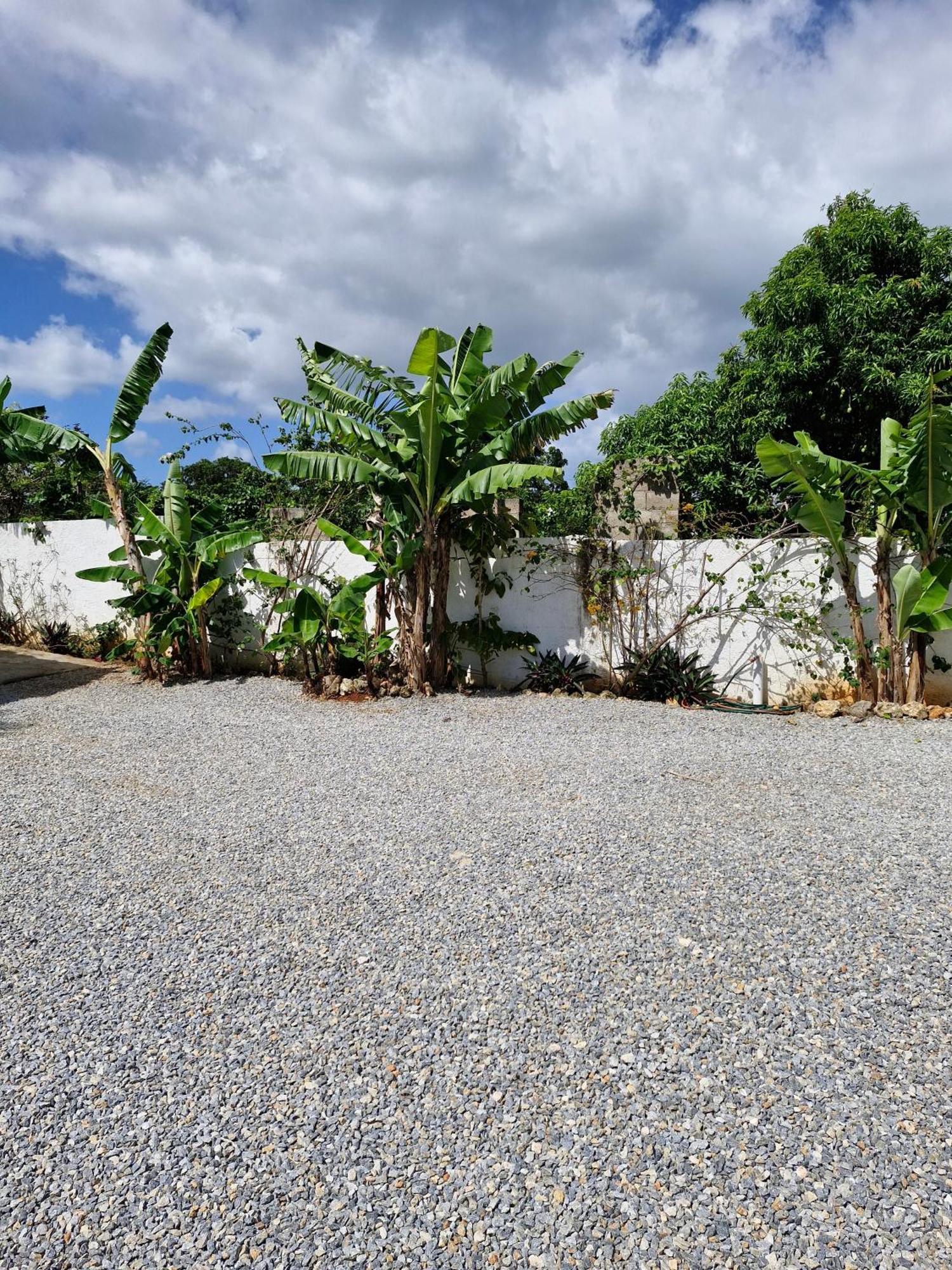 Bungalows Colibri Las Galeras Kültér fotó