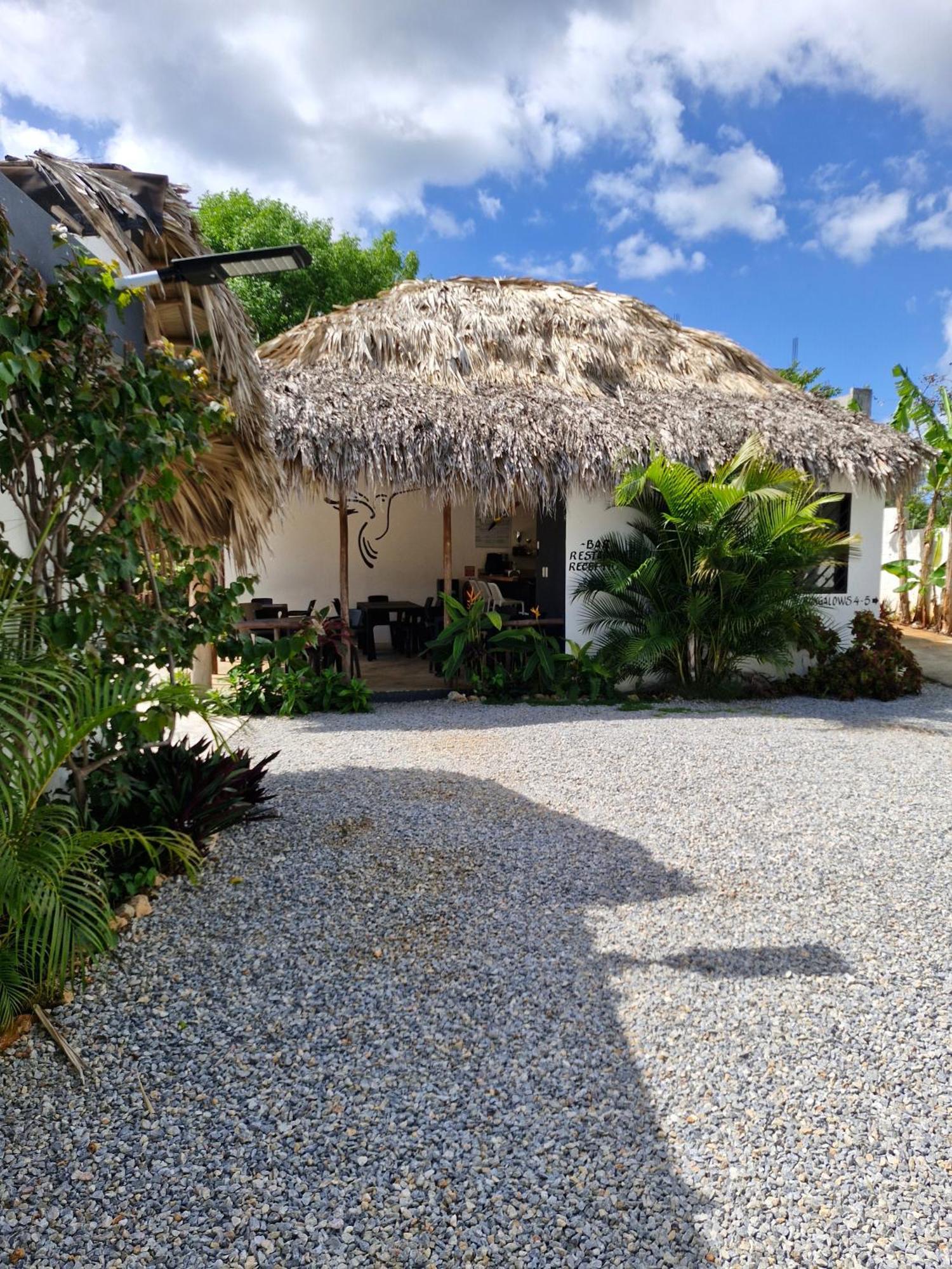 Bungalows Colibri Las Galeras Kültér fotó