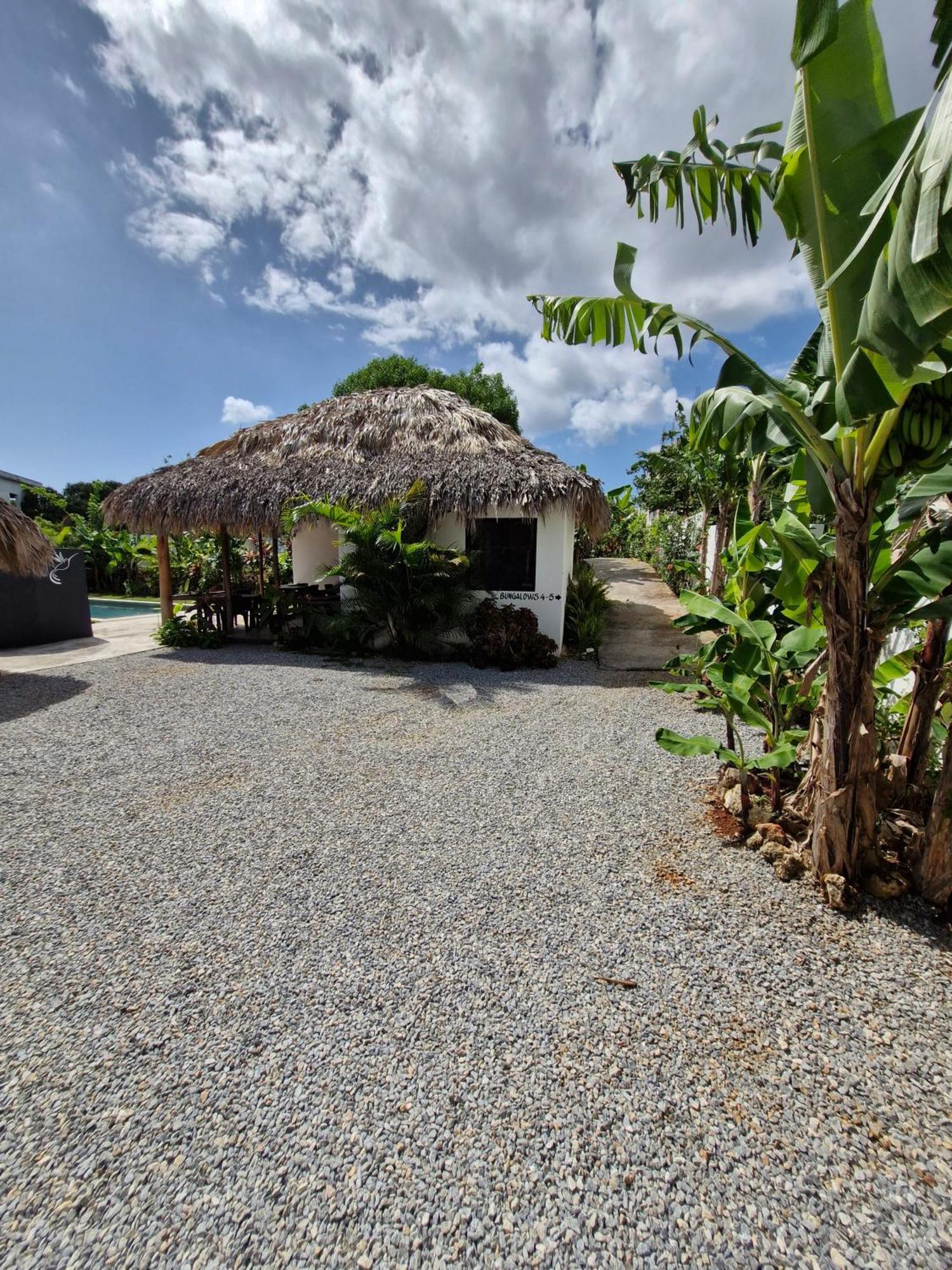 Bungalows Colibri Las Galeras Kültér fotó
